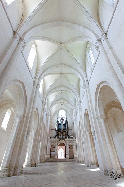 MF-Lieux-030-Abbaye-de-Pontigny.jpg
